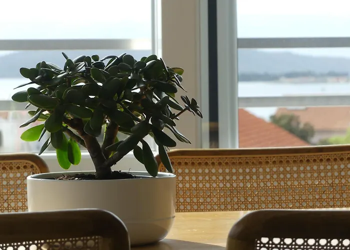 公寓 Seaside Serenity - Elegant With Stunning Sea Views